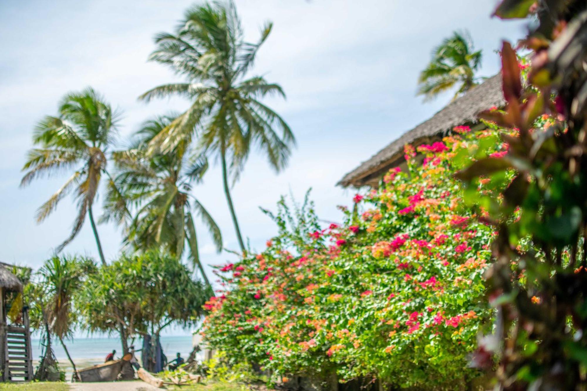 Beachfront Villa Ladha Ya Zanzibar Jambiani  Exteriör bild